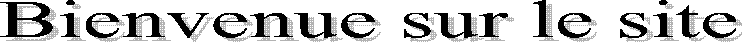 Bienvenue sur le site 